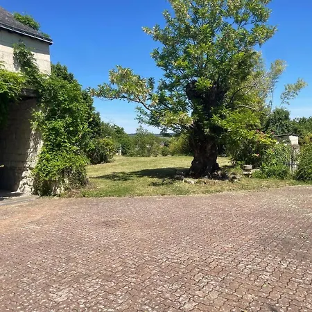 La Belonnerie - Grande Maison Pour 13 *